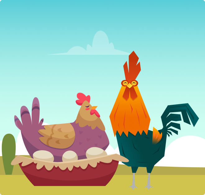 chickens picture