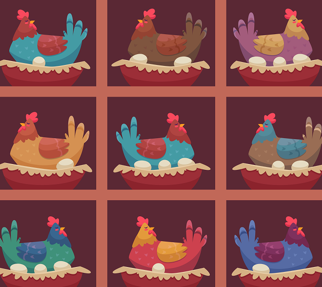 chickens picture